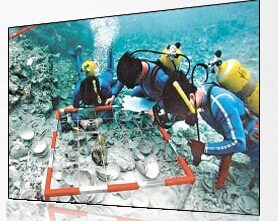 水下打捞工程|水下清淤工程|专业水下打捞公司18184731648 13635337427	